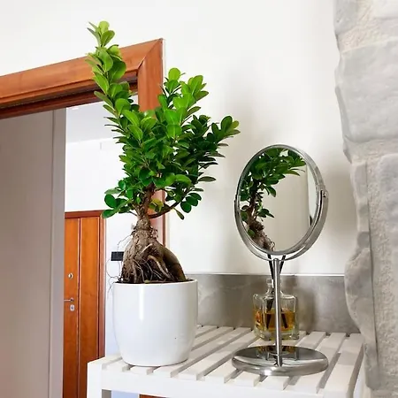 Apartment E Il Mare *